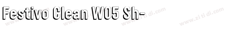 Festivo Clean W05 Sh字体转换 Festivo Clean W05 Sh字体转换